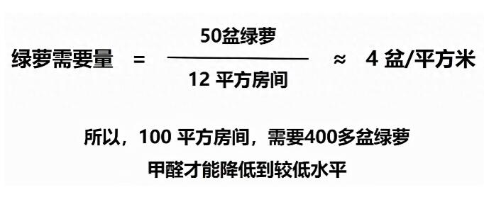 公司用綠蘿除甲醛，到底靠不靠譜？